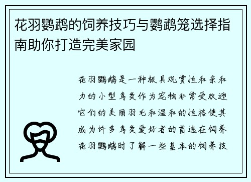 花羽鹦鹉的饲养技巧与鹦鹉笼选择指南助你打造完美家园